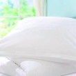 Anty Allergy Pillow Cover